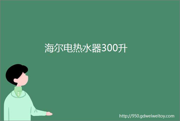 海尔电热水器300升