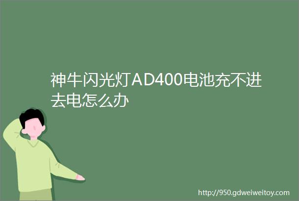 神牛闪光灯AD400电池充不进去电怎么办